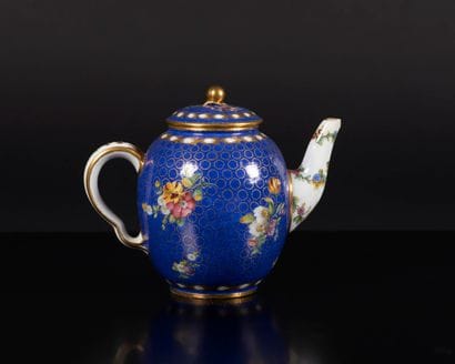SEVRES. Calabrian teapot covered in soft...