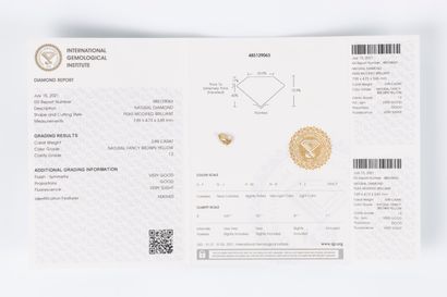 Diamant sur papier avec son certificat mentionnant:...