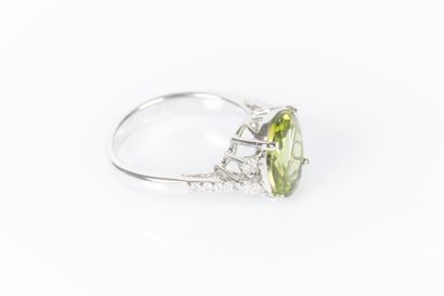 Ring in white gold 750°/.(18K) 4g50, set...