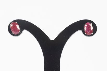 Paire de boutons d'oreilles en or blanc 750°/.(18K)...