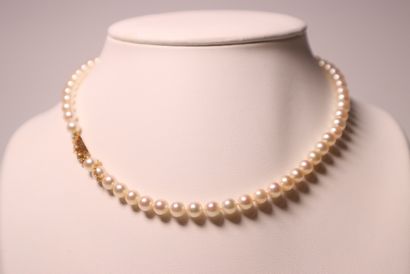 Collier de perles de cultures.