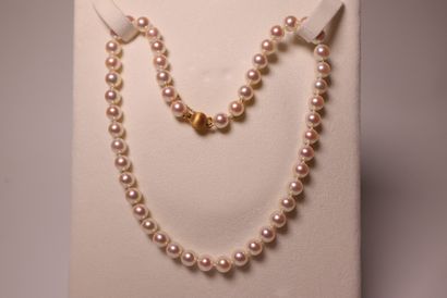 Collier de perles de cultures.