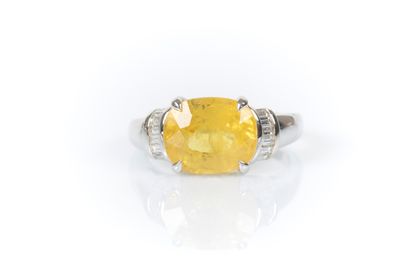 Ring in white gold 750°/. (18K) 4g95, set...