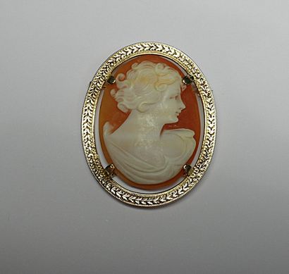Broche camée coquille taille ovale à profil...