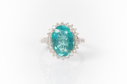 White gold ring set with a natural oval apatite...