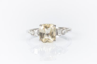 Ring in white gold 750°/.(18K) 2g65 set with...