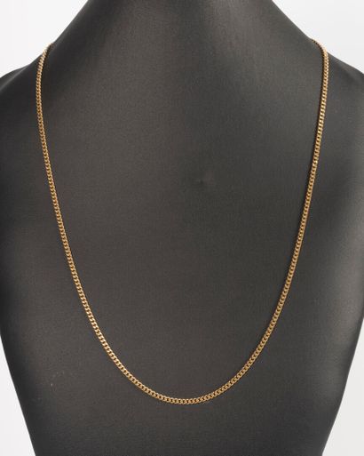 Long necklace in 18K yellow gold 750 thousandths...