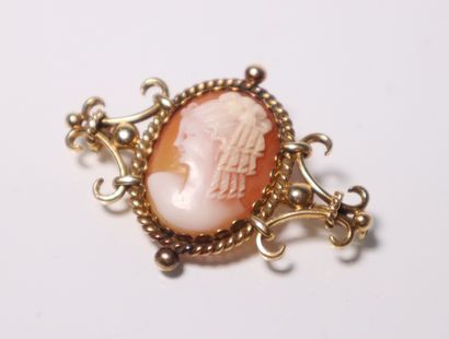 Oval brooch in yellow gold with a cameo showing...