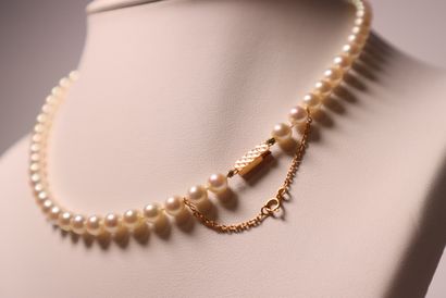 Collier de perles de cultures.