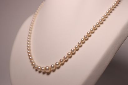 Collier de perles de culture en chute. Long....