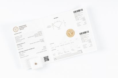 Diamant sur papier avec son certificat mentionnant:...