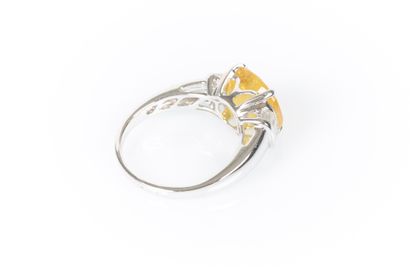 Ring in white gold 750°/. (18K) 4g95, set...