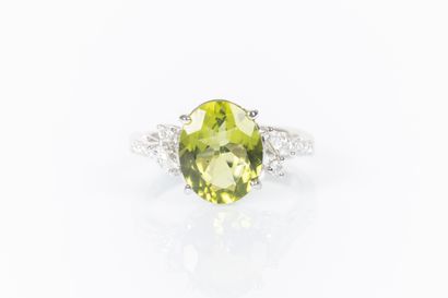 Ring in white gold 750°/.(18K) 4g50, set...