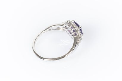 Ring in white gold 750°/.(18K) 2g85, set...