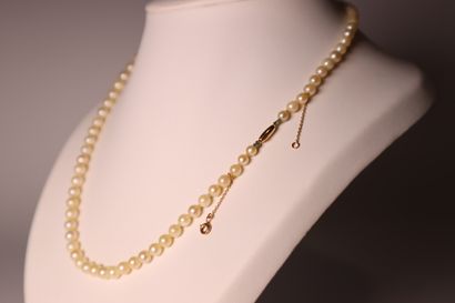 Cultured pearl necklace. Length: 47 cm
