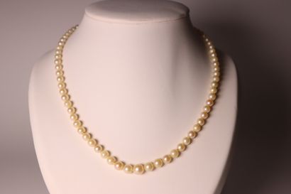 Cultured pearl necklace. Length: 47 cm