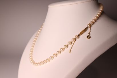 Necklace of cultured pearls. Length: 45 ...