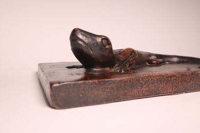 Salamander, terracotta subject. 33 x 20.5...