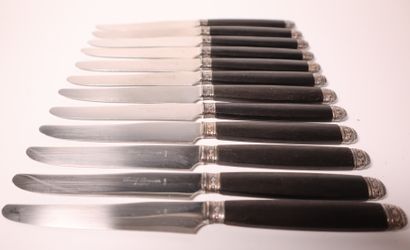 Suite of 12 Bodet Pasquier knives, ebony...