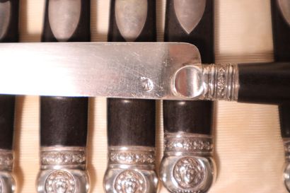* Suite of 9 fruit knives, silver blades,...