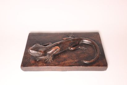Salamander, terracotta subject. 33 x 20.5...