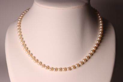 Necklace of cultured pearls. Length: 45 ...