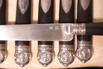 * Suite of 9 fruit knives, silver blades,...