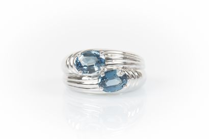 Toi et Moi ring in white gold set with two...