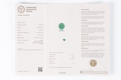 Oval emerald on paper with certificate: 0.65...