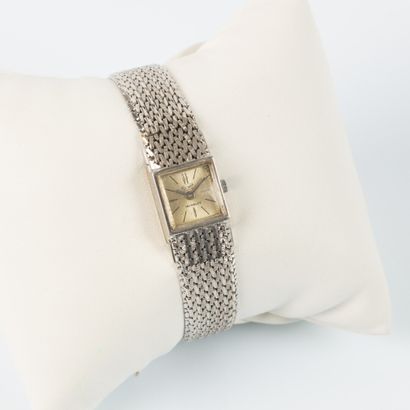 Lady's watch bracelet in white gold, square...