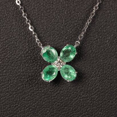 Collier en or blanc orné d'un motif de fleur...