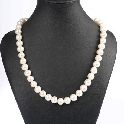 Natural cultured pearl necklace. Average...