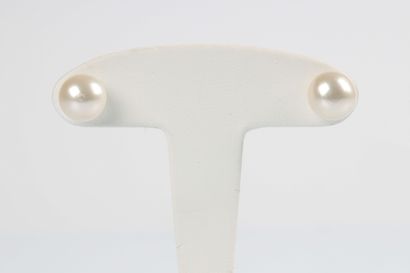 Pair of cultured pearl earrings, 