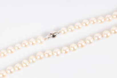 Choker necklace of Akoya natural cultured...