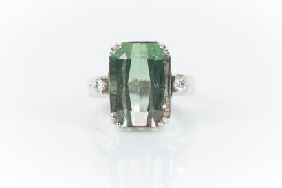 White gold ring set with a tourmaline (1...