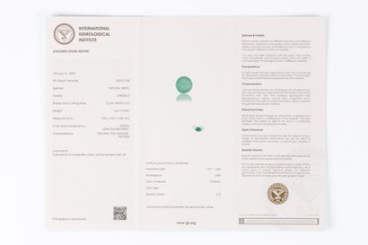 Emeraude ovale sur papier avec son certificat...