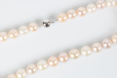 Large necklace of natural cultured pearls,...