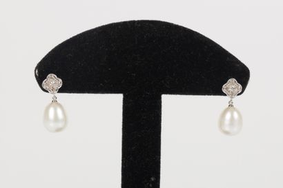 Pair of white gold earrings adorned with...