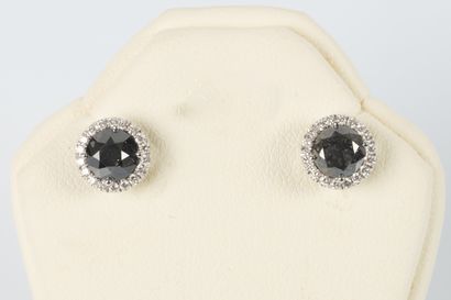 Pair of white gold earrings centered with...