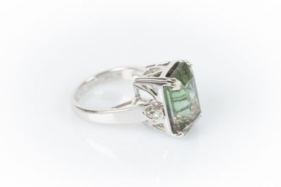White gold ring set with a tourmaline (1...