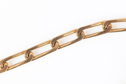 Bracelet en or jaune maille cheval. 20,43...