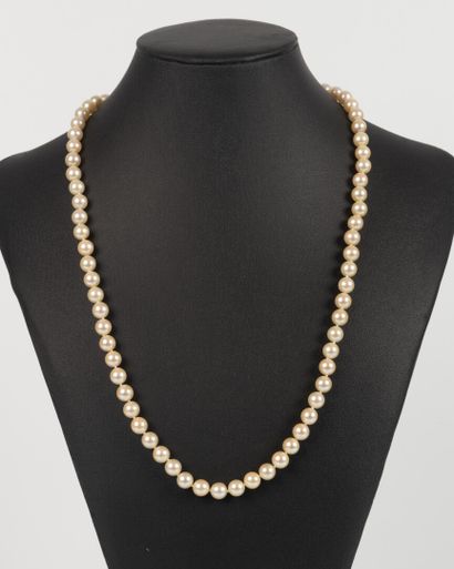 Sautoir de perles de culture choker (diam....
