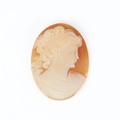 Camée coquille à profil de femme. 35 x 25...