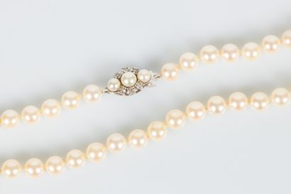 Sautoir de perles de culture choker (diam....