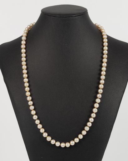 Sautoir de perles de culture choker (diam....