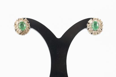 Paire de clous d'oreilles en or gris sertis...
