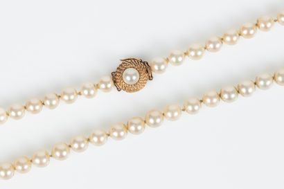 Sautoir de perles de culture choker (diam....