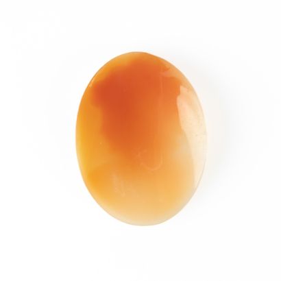 Camée coquille à profil de femme. 35 x 25...