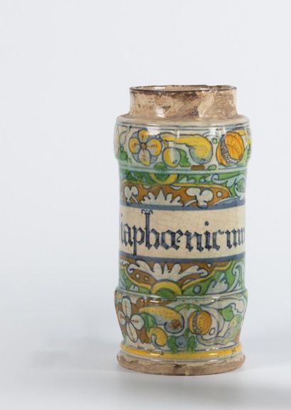 Albarello en faïence polychrome à décor d'un...