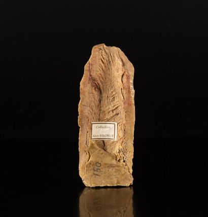 Plaquette en os sculpté en bas-relief de...